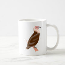 Vautour de Valeria Tasse