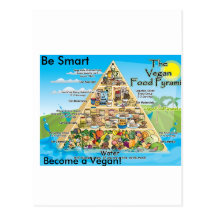 vegan-pyramid-800x600 carte postale