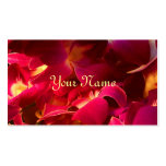 Velours Cartes De Visite Personnelles