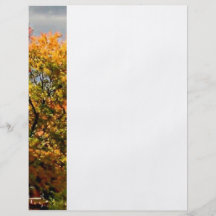 Venir de tempête d'automne prospectus en couleur