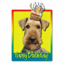 Verjaardag Cupcake - Airedale Uitsneden