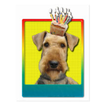 Verjaardag Cupcake - Airedale Wenskaart