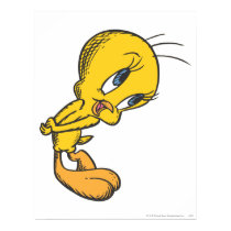 Verlegen Tweety posters