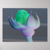 Veronderstel Print