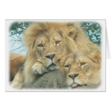 vers le haut des lions étroits carte de vœux