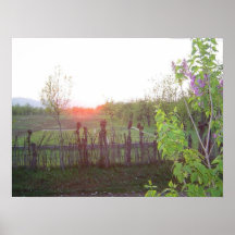vert de coucher du soleil d'impression d'affiche