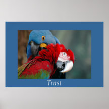 Vertrouwen Posters