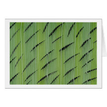 Verts en bambou cartes de vœux