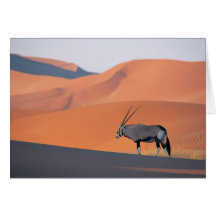 Vie naturelle cartes de vœux