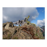 vieil arbre sur une montagne carte postale