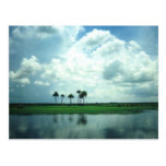 Vieilles cartes postales de coutume de la Floride