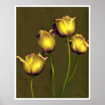 Vier tulpen posters