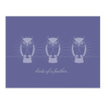 Vieux hibou sage "de chacun" carte postale