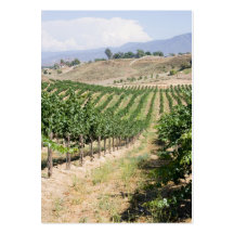 vignoble vertical cartes de visite personnelles