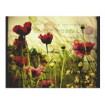 Vintage bloemenBriefkaart Wens Kaarten