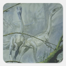 Vintage Dinosaurussen Megapnosaurus of Syntarsus Vierkante Sticker