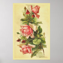 Vintage Rozen met het Poster van de Dalingen van d posters