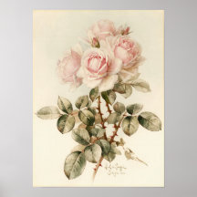 Vintage Victoriaans Romantische Rozen Print