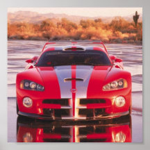 viper poster