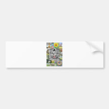 Virginia Bumpersticker