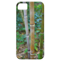 Viril, masculin, en bambou, asiatique, cas d'Iphon Coque iPhone 5