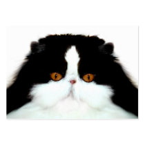 Visage de chat persan de smoking cartes de visite