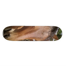 Visage haut étroit de cheval plateaux de skate