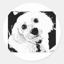 visage maltais de chiot autocollant rond