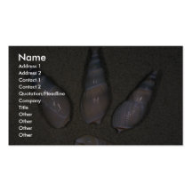 Vittatum Shell van Bullia Visitekaartjes Sjabloon
