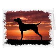 Vizsla Carte De Vœux