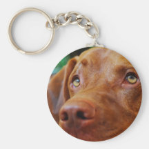 VIZSLA - porte - clé Porte-clés