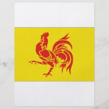 Vlag van het Gebied van België de Waalse Persoonlijke Folder