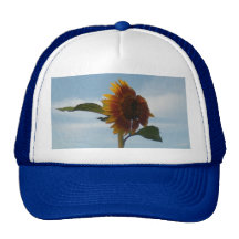 Vliegende Zonnebloem Mesh Petten