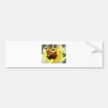 Vlinder Bumperstickers