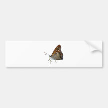 Vlinder Bumperstickers