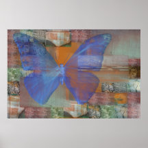 Vlinder op de Muur Poster