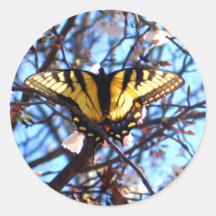 Vlinder Stickers