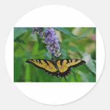 Vlinder Stickers