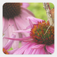 Vlinders Sticker