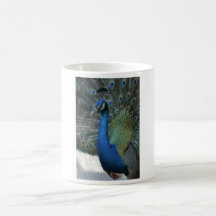 vogel 5 koffie beker