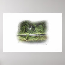 vogel tijdens de vlucht print