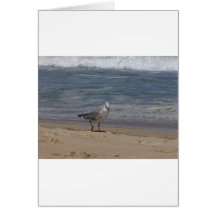 vogel wenskaart
