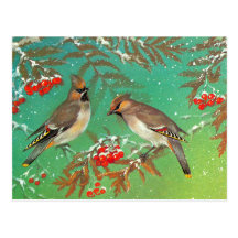 Vogels van de Winter Wens Kaarten