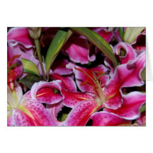 Voici des Fleurs Wenskaarten