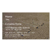 Voies de boue de Playa de champ de courses Modèles De Cartes De Visite