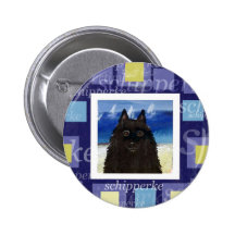 Voilier d'été de Schipperke Badge
