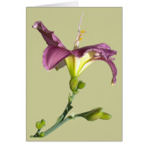 Vous connaissez mon coeur…. Carte de voeux