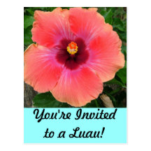Vous êtes invités à un Luau ! Invitation Carte Postale