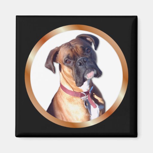 Vous manquant boxeur magnets pour réfrigérateur