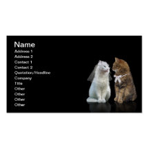 Vous meow je ? modèle de carte de visite